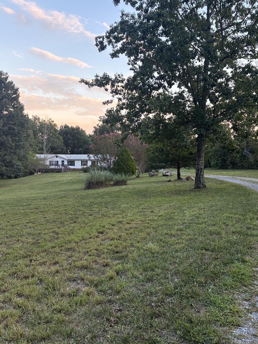 Yard and driveway